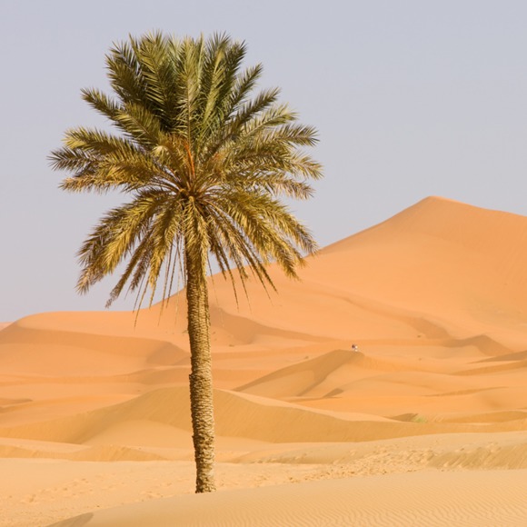 Meet your Posher, Kerri - Picture 1 of 1